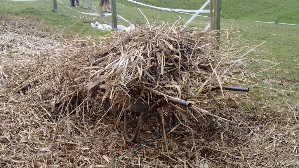 IMG_20150404_123303999[1]