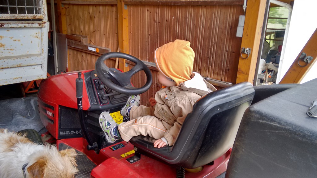 IMG_20150602_102852437_HDR[1]