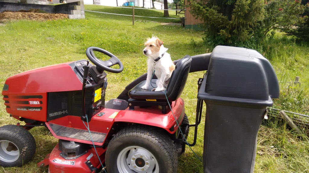 IMG_20150602_150246009[1]