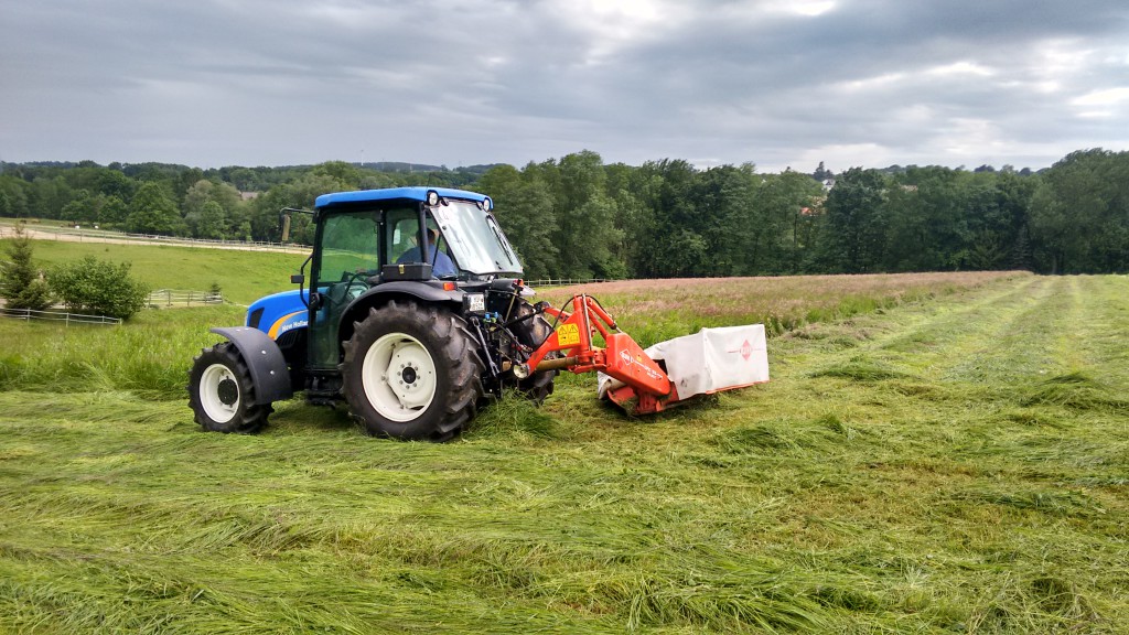 IMG_20150602_171917570_HDR[1]