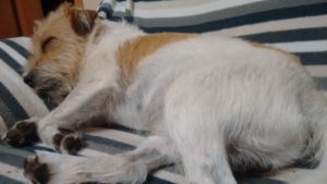 2016-09-17-20-58-32-kopie