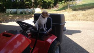 2016-09-20-14-59-02-kopie